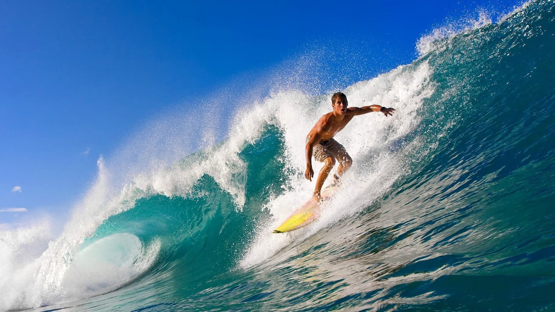 球场外的故事：运动员的家庭生活引发关注，运动员在球场训练形容词